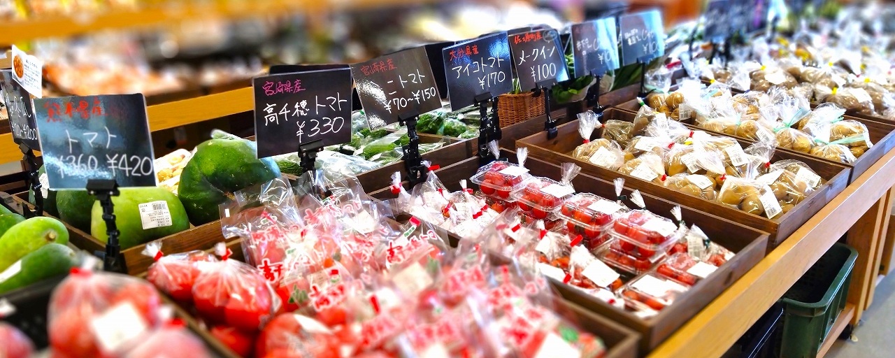 城の駅佐土原いろは館